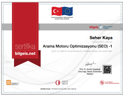Arama Motoru Optimizasyonu (SEO) -1