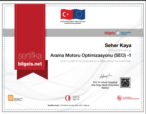 Arama Motoru Optimizasyonu (SEO) -2