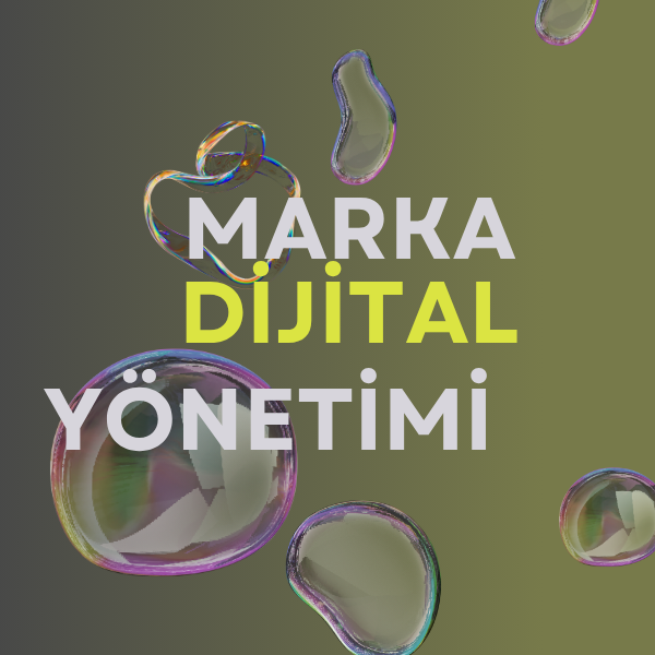 Web Sayfası Yönetimi